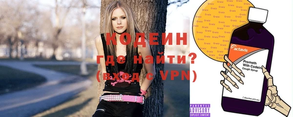 прущие грибы Дмитровск