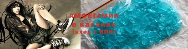прущие грибы Дмитровск