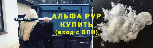 стафф Дмитров