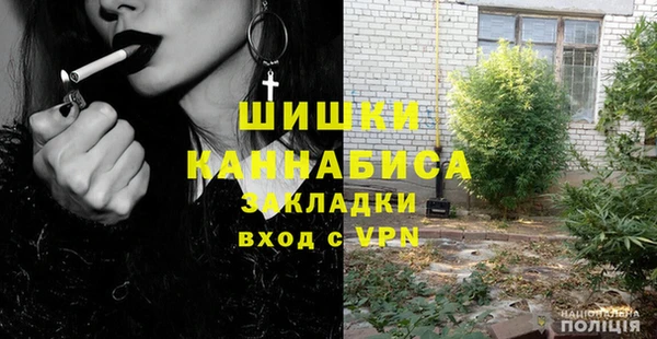 прущие грибы Дмитровск