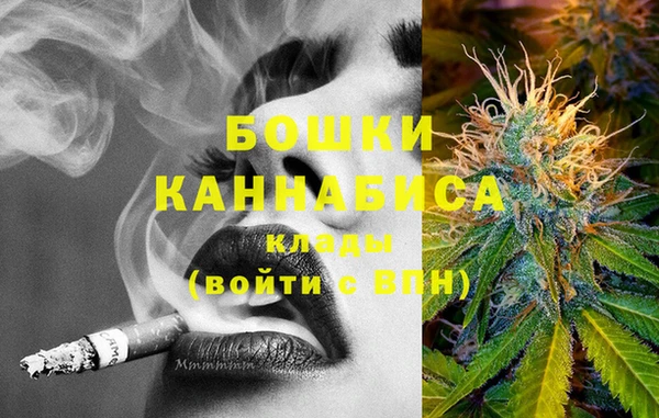 стафф Дмитров