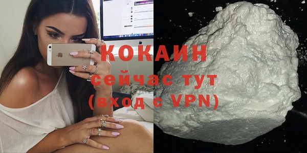 прущие грибы Дмитровск