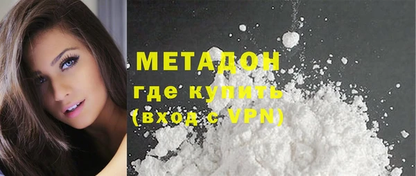 прущие грибы Дмитровск