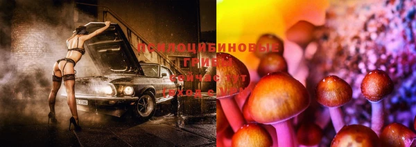 кокаин Дмитриев